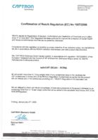 csm_REACH_Declaration_of_Conformity_safeCAP__SCA4_-_SCB4___1__4d9656d1e5 csm_REACH_Declaration_of_Conformity_safeCAP__SCA4_-_SCB4___1__4d9656d1e5